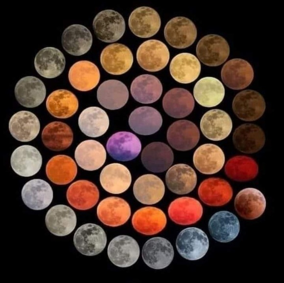 Meet your Posher, Cary - Picture 1 of 1